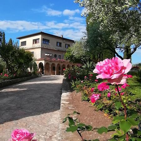 Villa Paradiso Sirmione Extérieur photo