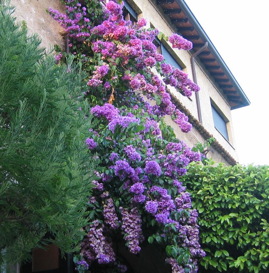 Villa Paradiso Sirmione Extérieur photo