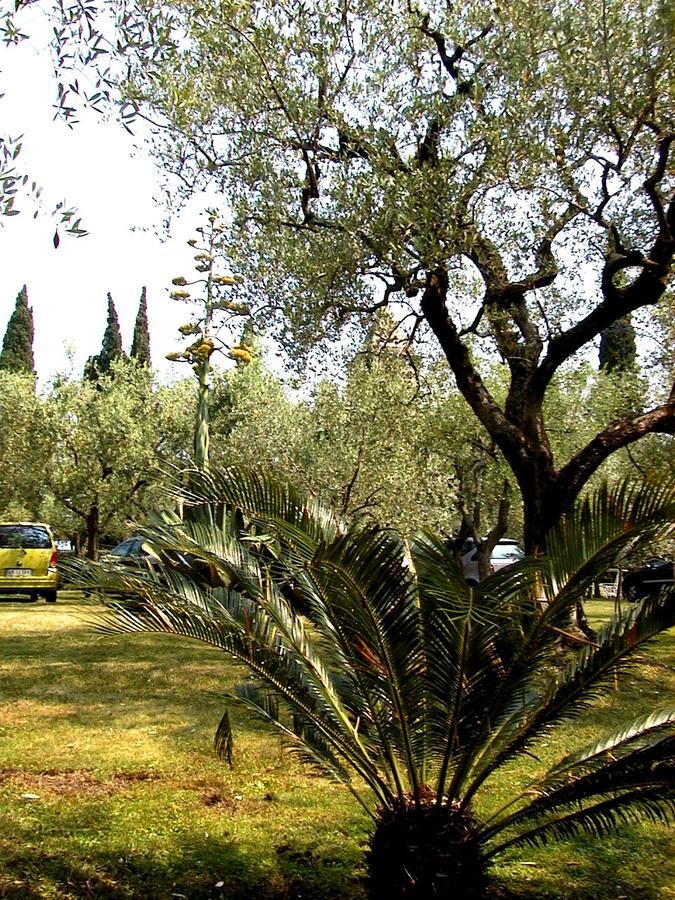 Villa Paradiso Sirmione Extérieur photo